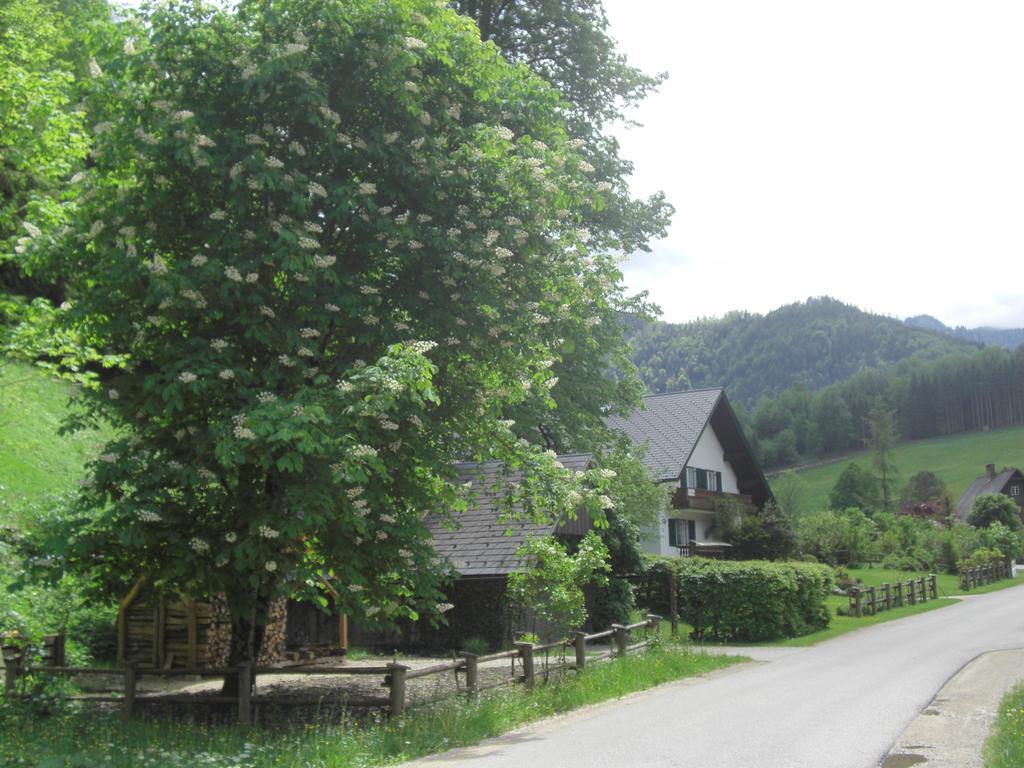 Ferienwohnung Lange Гестлинг-на-Ибсе Экстерьер фото
