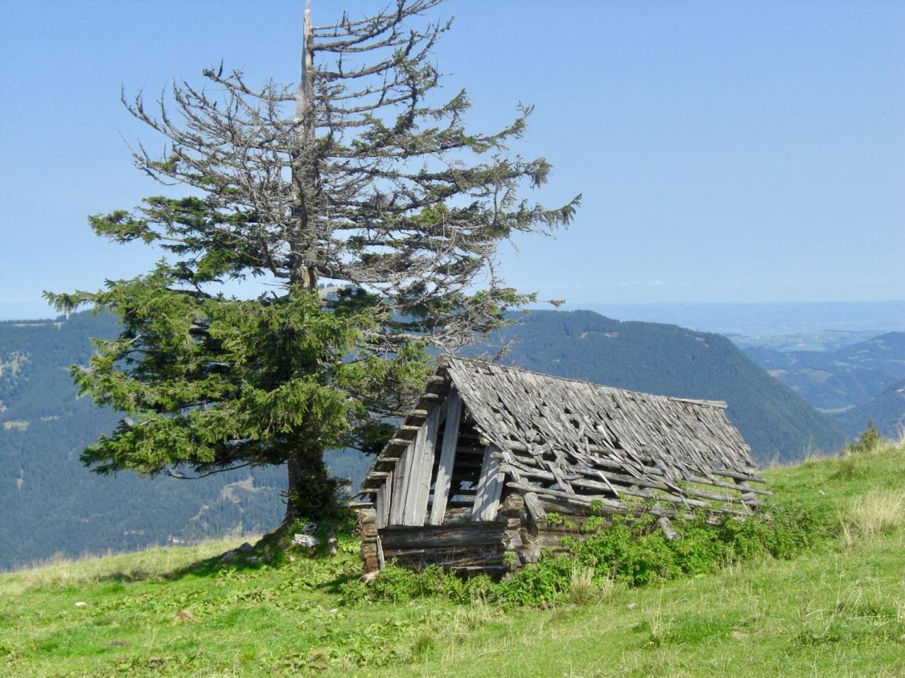 Ferienwohnung Lange Гестлинг-на-Ибсе Экстерьер фото